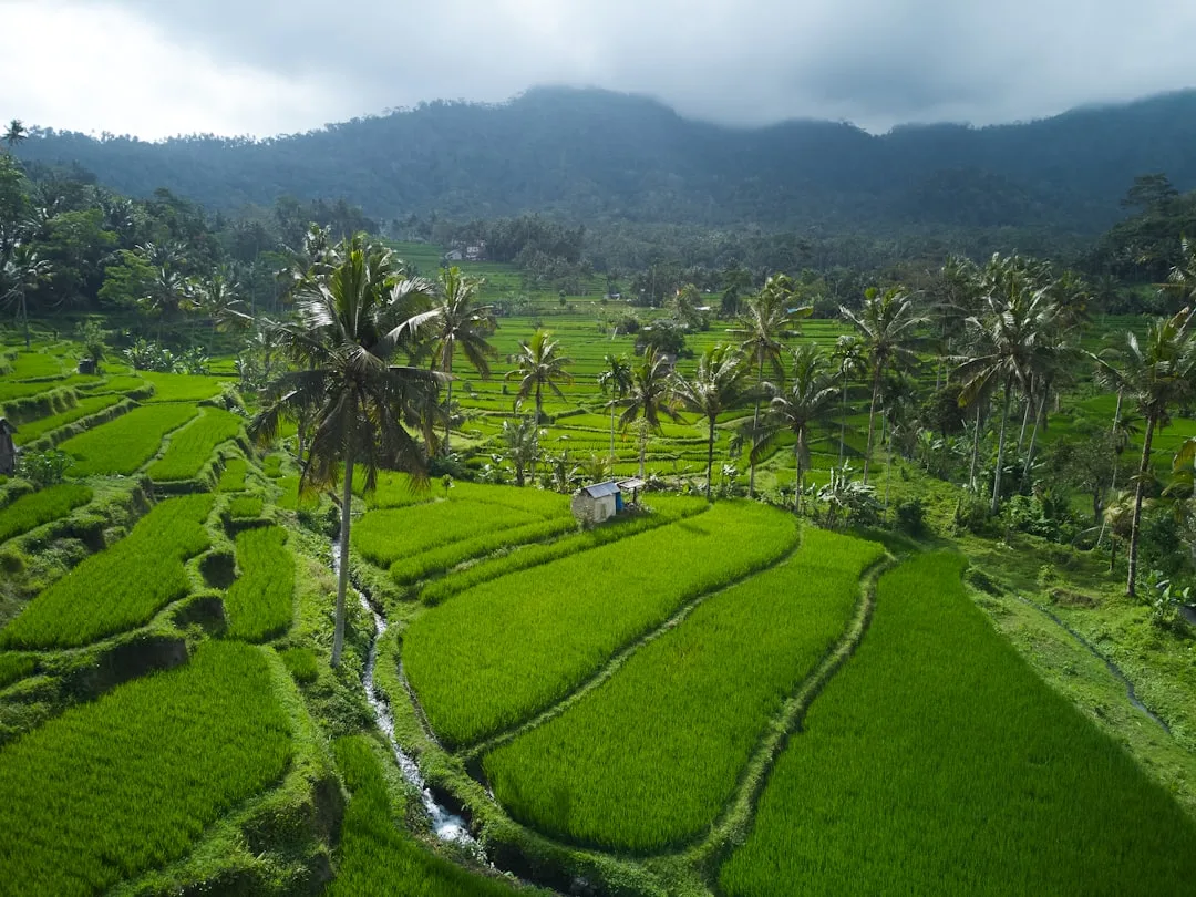 Bali Jungle Trail Bike Adventure
