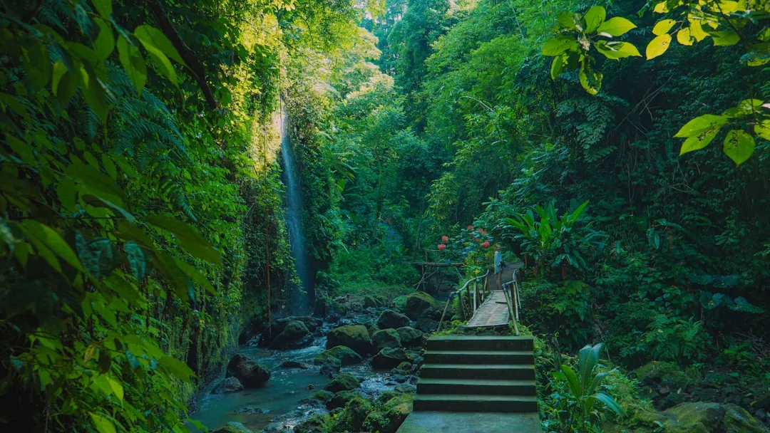 Bali Jungle Trail Bike Adventures