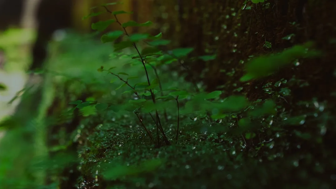 Dirtbike Bali Adventure