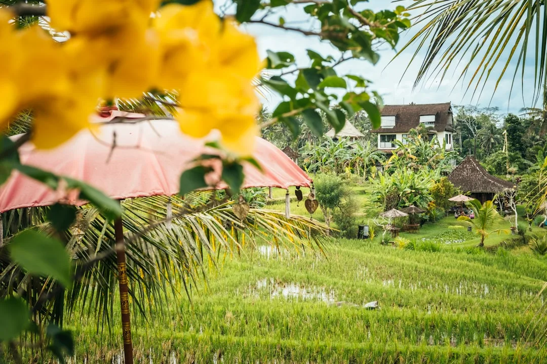 Off-Road Bali Ubud: Dirtbike Adventures