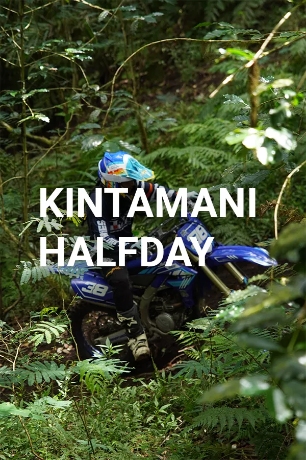 KINTAMANI HALFDAY (Forest Trails)